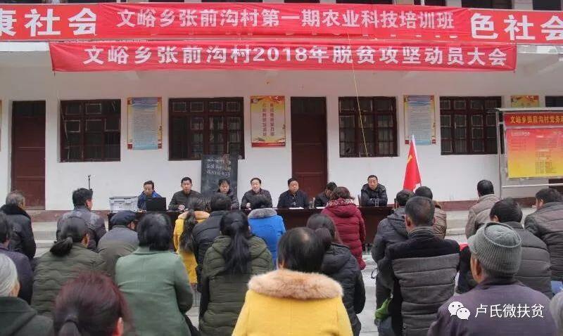 走马观花打一最佳生肖,警惕虚假宣传落实,前沿解答解释落实