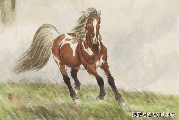 马到成功打一准确生肖,警惕虚假宣传,构建解答解释落实